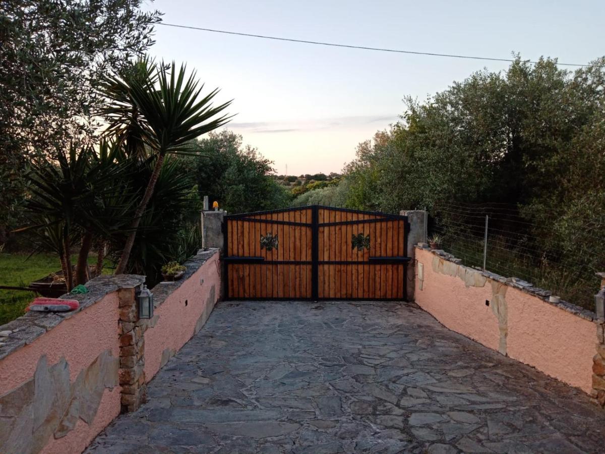 Villa Relax Tra Gli Ulivi Alguer Exterior foto